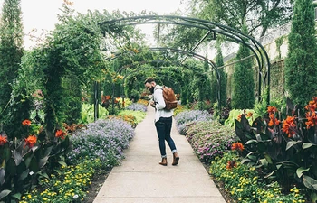 Ankara'da profesyonel peyzaj düzenleme ve estetik bahçe tasarımı uygulaması.